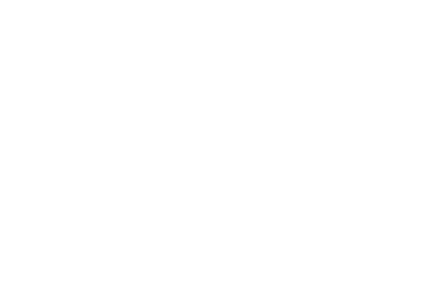 Логотип adit